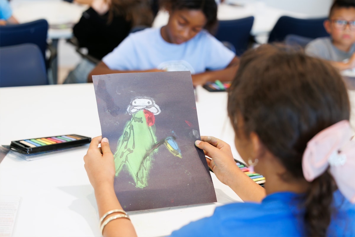 Girl drawing a parrot