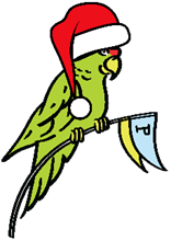 Parrot in Santa Hat